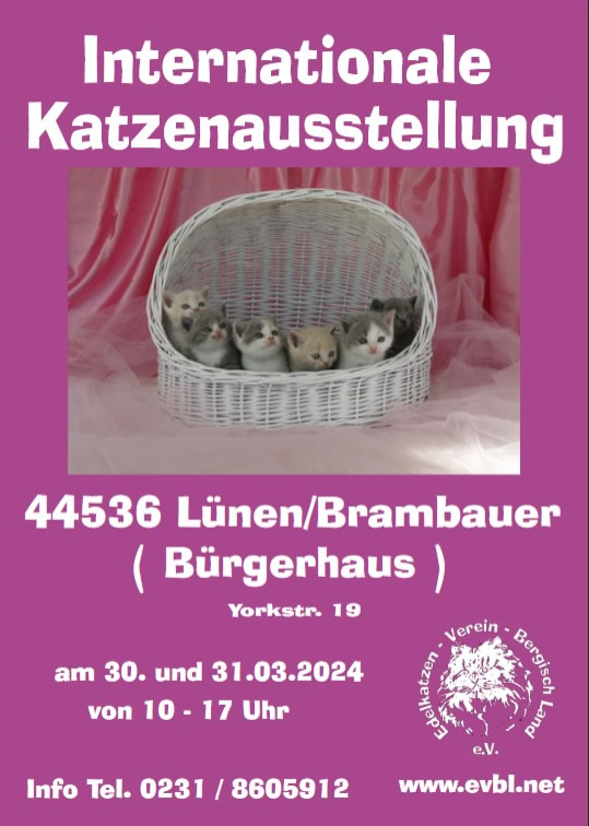 Internationale Katzenausstellung